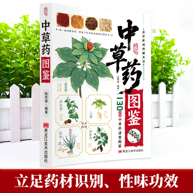 Panduan Bergambar Obat Herbal  - Herbal Wellness Guide ulasan dan harga