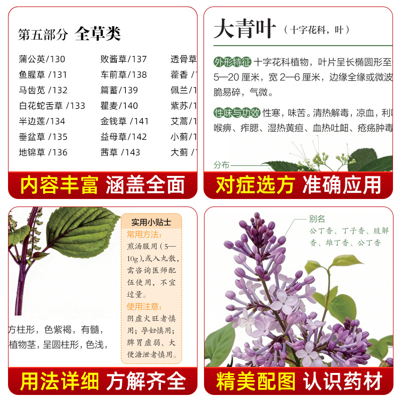 Panduan Bergambar Obat Herbal  - Herbal Wellness Guide ulasan dan harga